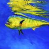 Mahi Mahi Fish Underwater paint by number