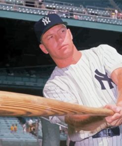 Mickey Mantle paint by number