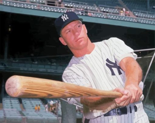 Mickey Mantle paint by number