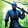 Ninja Assassin Warrior paint by number