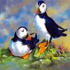 Puffin Birds paint by number