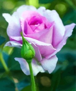 Purple Floribunda paint by number