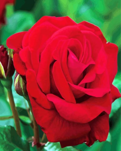 Red Floribunda Flower paint by number