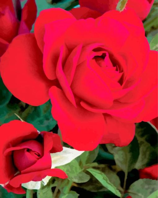 Red Floribunda paint by numbers