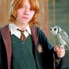 Ron Weasley And Pigwidgeon paint by number