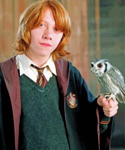 Ron Weasley And Pigwidgeon paint by number