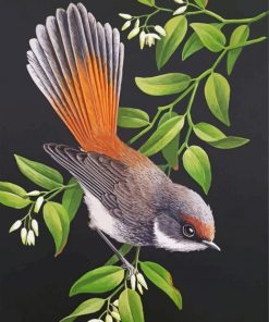 Rufous Fantail Web paint by number