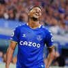 Salomón Rondón Everton paint by number