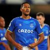 Salomón Rondón Football Player Everton paint by number