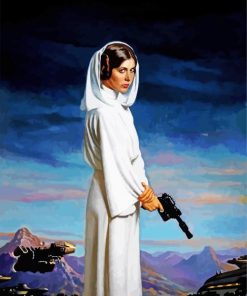 Star Wars Leia paint by numbers