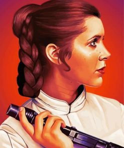 Star Wars Princess Leia paint by numbers