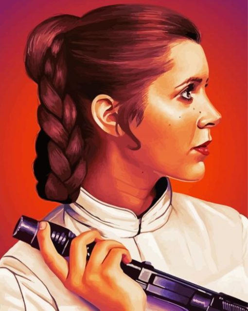 Star Wars Princess Leia paint by numbers