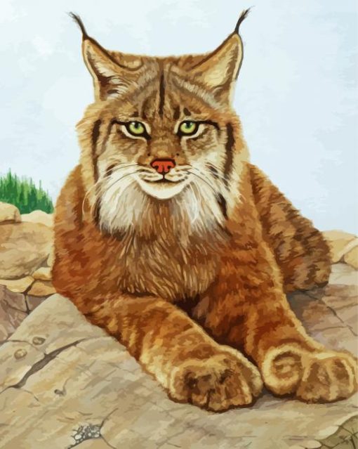 The Lynx Cat paint by numbers