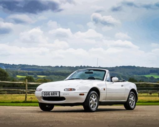 White Mazda MX5 Car paint by numbers