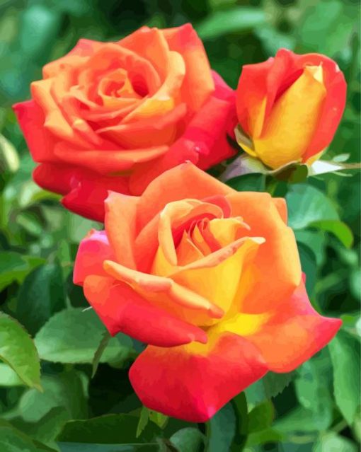 Yellow And Orange Floribundas paint by numbers