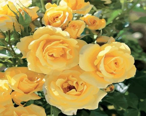 Yellow Floribunda Roses paint by numbers