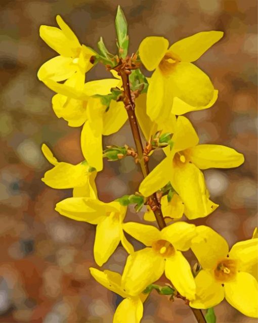 Yellow Forsythia Flowering Plant paint by number