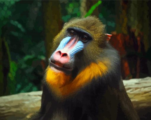 Aesthetic Mandrill paint by number