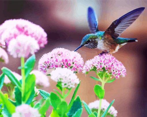 Beautiful Blue Hummingbird paint by number