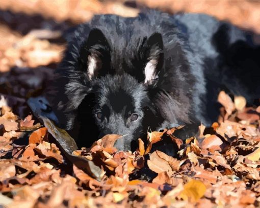 Black Belgian Shepherd paint by number