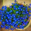 Blue Lobelia paint by numbers