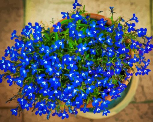 Blue Lobelia paint by numbers