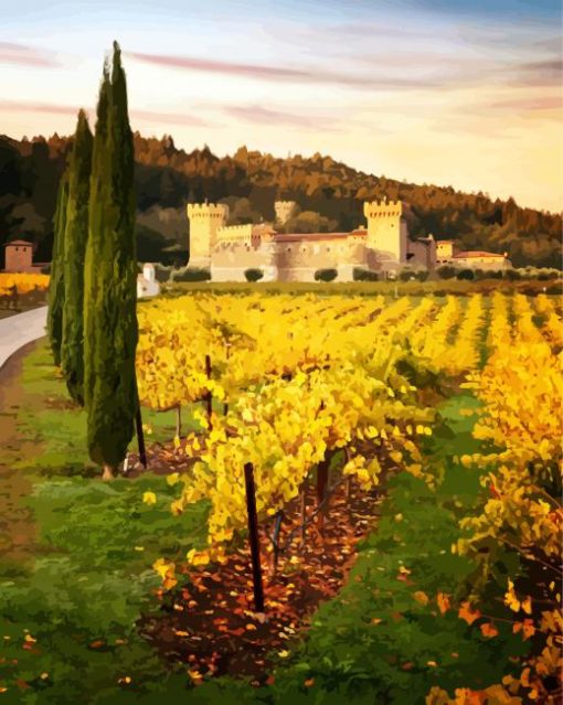 Castle Vineyard Napa Valley paint by number