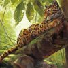 Clouded Leopard paint by number