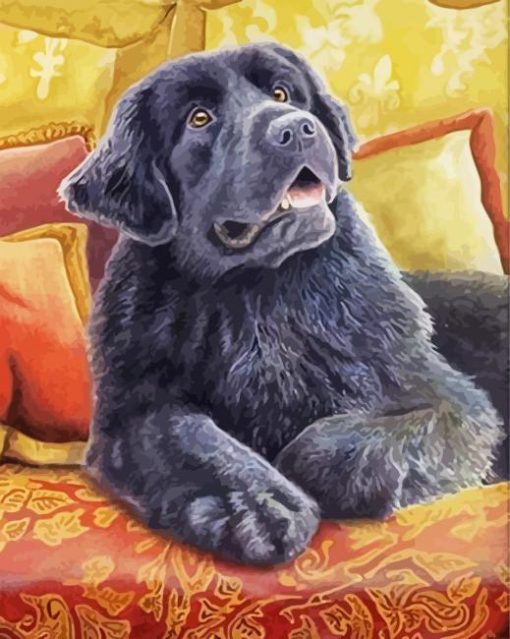 Cute Newfoundland Dog paint by number