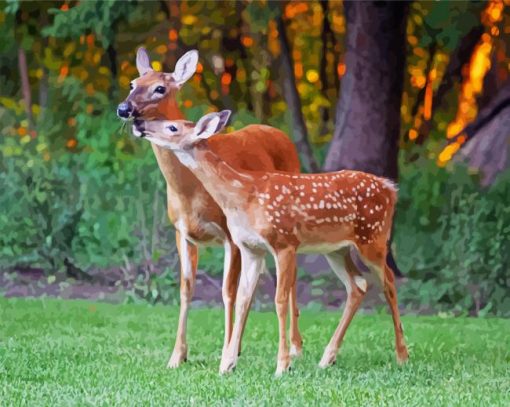 Doe Animals paint by numbers