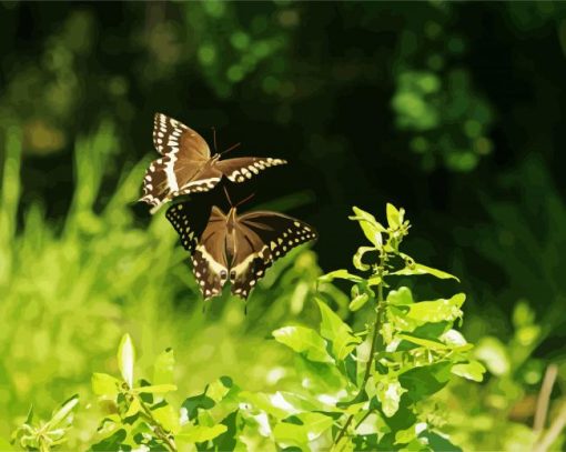 Flying Butterflies paint by number