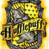 Hufflepuff Harry Potter paint by number