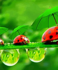 Ladybeetles paint by numbers