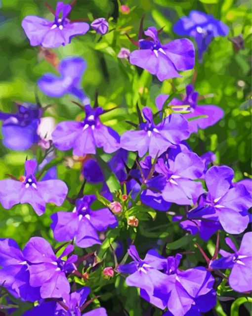 Lobelia Flowers paint by number