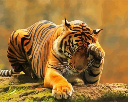 Lonely Tiger paint by numbers