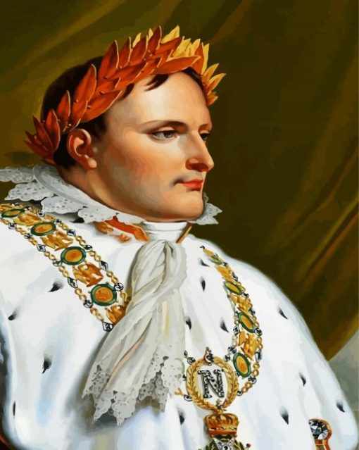 Napoleon paint by number