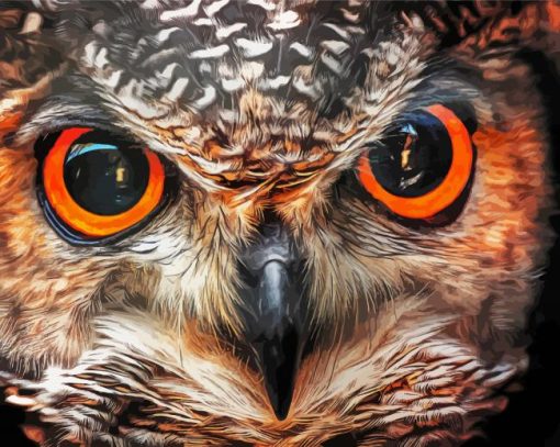 Owl Eye paint by number