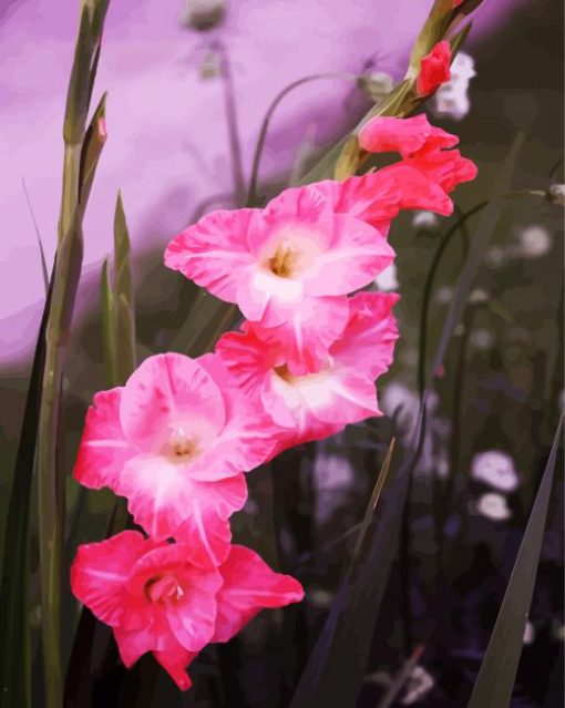 Pink Gladiola Flowers paint by number