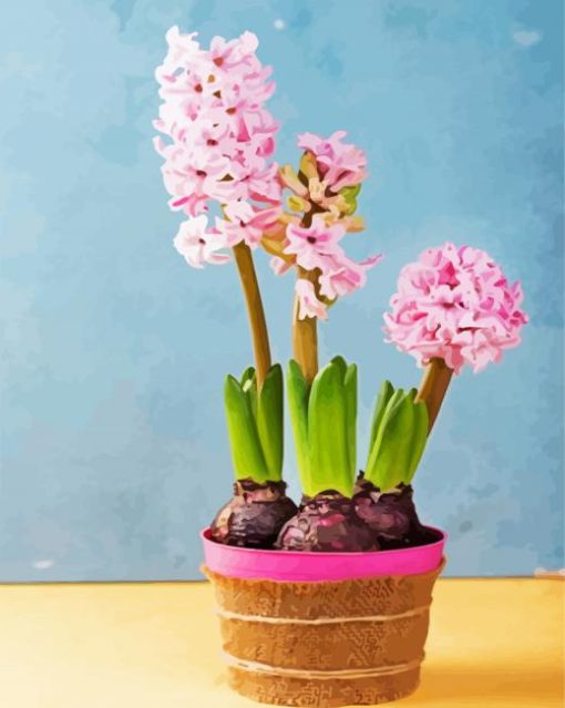 Pink Hyacinth paint by number