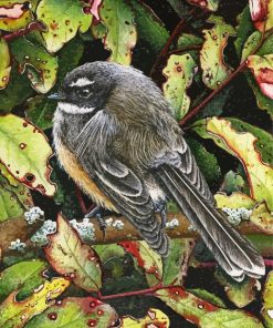 The New Zealand Fantail Bird paint by number