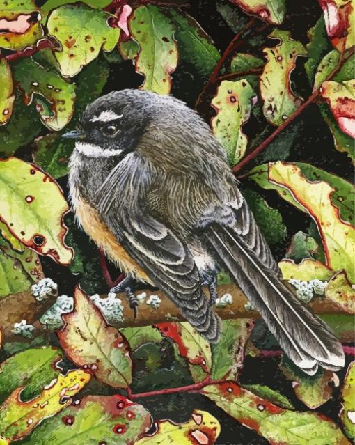 The New Zealand Fantail Bird paint by number