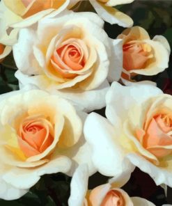 White And Orange Floribundas paint by numbers