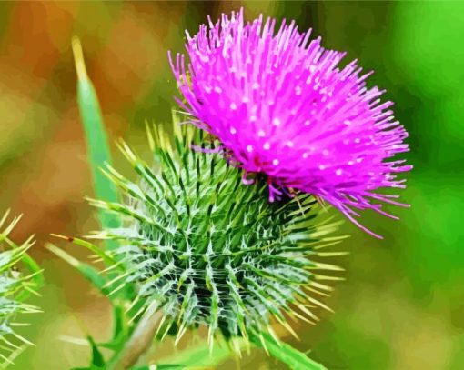 Aesthetic Thistle Flowering Plant paint by number