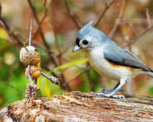 Aesthetic Tufted Titmouse paint by number