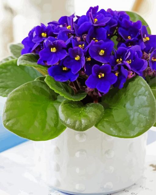 African Violets paint by number