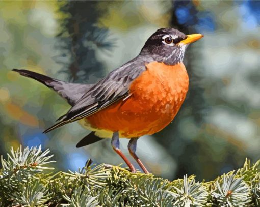 American Robin paint by number