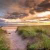 Beach Path At Sunset paint by number