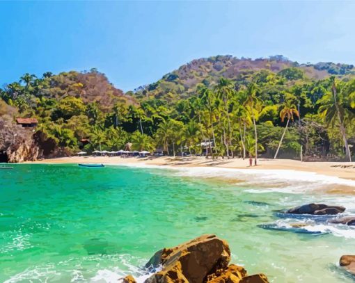 Beautiful Beach In Puerto Vallarta paint by number