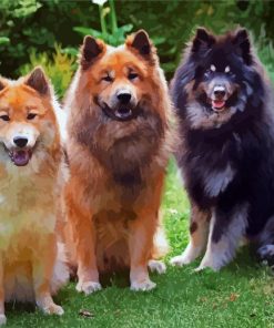 Beautiful Eurasier Puppies paint by number