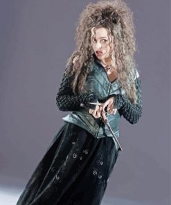 Bellatrix Harry Potter Character paint by number